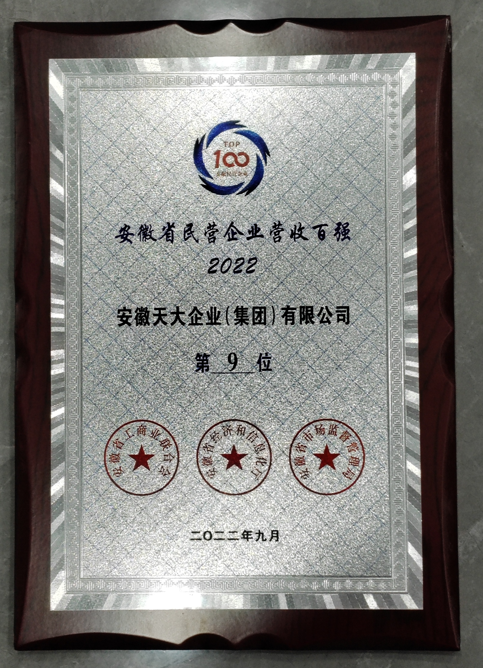 安徽省民營企業(yè)營收百強(qiáng)_2022_9