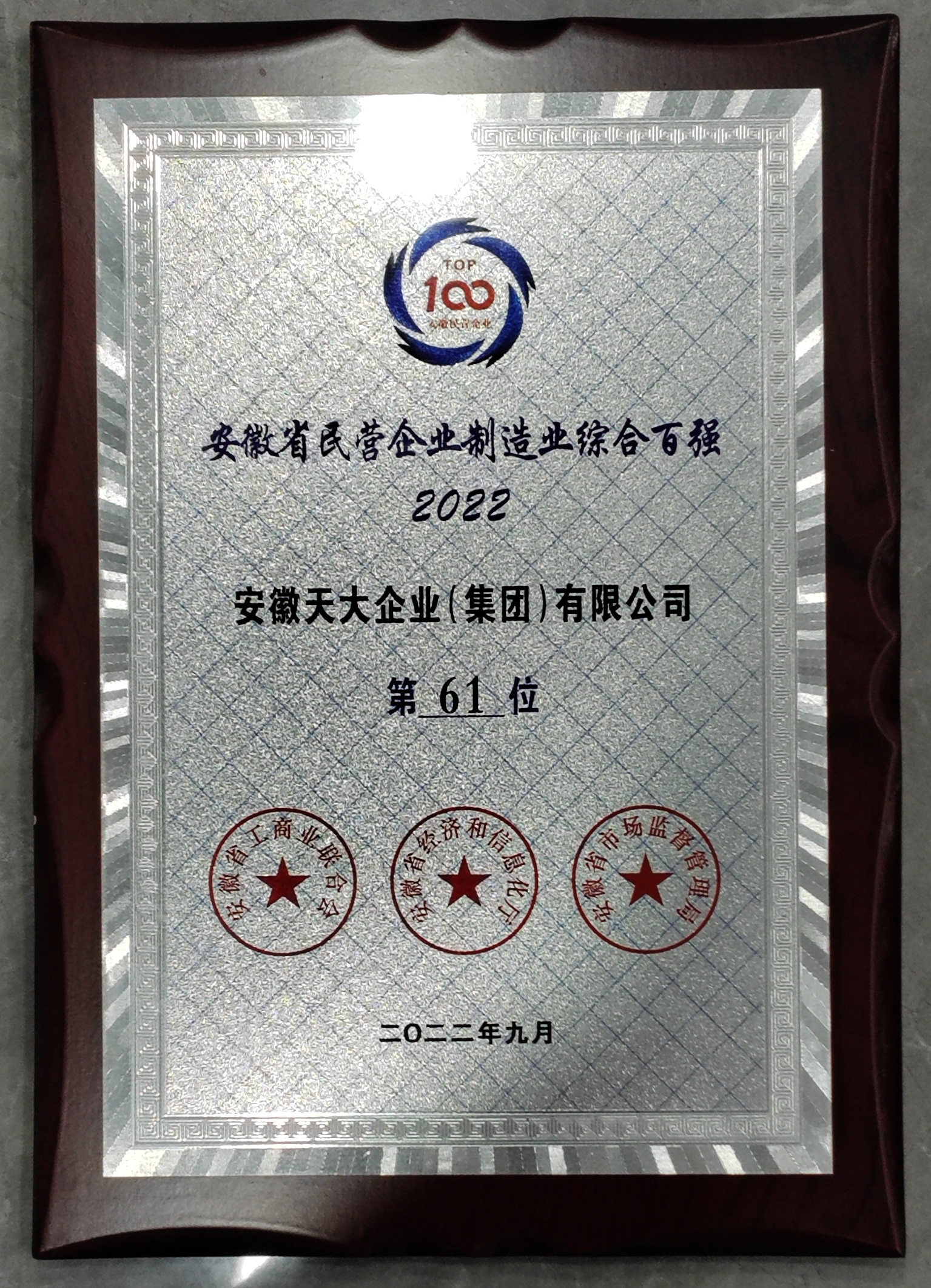 安徽省民營企業(yè)制造業(yè)綜合百強(qiáng)_2022_61
